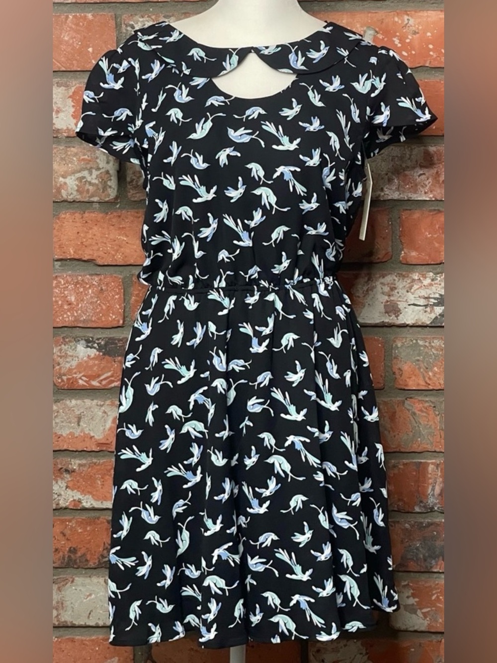 LC Lauren Conrad Black Floral Print Dress with White and Light Blue Accents